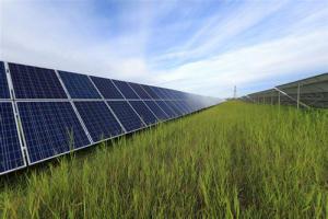 青海电网光伏储能发电关键技术通过评审