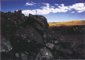 统计局：12月下旬全国动力煤、无烟煤价格上涨