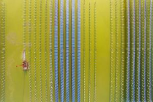 安徽省天长市渔光互补太阳能发电场