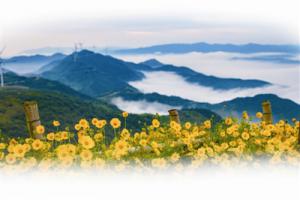 2018，风电行业有哪些期待