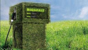 巴西制定了国家生物燃料政策