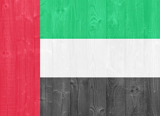 阿联酋开征增值税对抗低油价