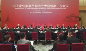 王寿君参加中法企业家委员会成立大会