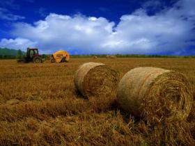 安徽蚌埠市五河生物质热电1号机组并网发电