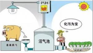 山东畜禽粪污资源化利用
