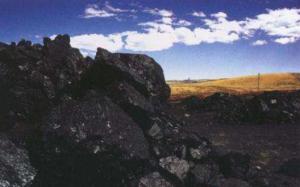 IEA在北京发布《煤炭市场报告2017》