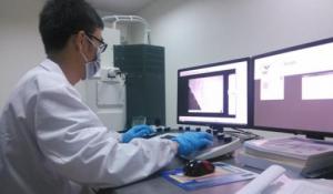 华中大在纳米材料电化学储能领域国际合作取得重要进展