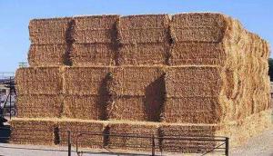 黑龙江秸秆初加工实行农业电价