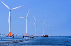 793台风机！江苏全省三分之一风电总装机落户如东