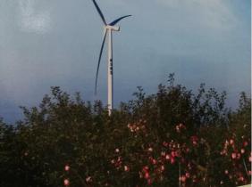 上海电气2.5MW机型装机容量最大风电场项目顺利出质保