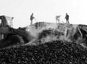 统计局：1月下旬全国焦炭价格报1944.8元/吨较上一周期下降7%