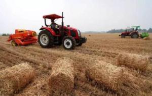 2018年一号文件发布 生物质气化综合利用的春天来了