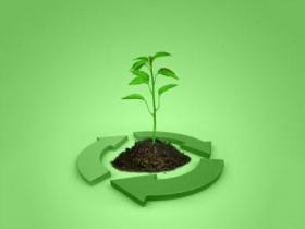 2018年中国生物质能源行业现状分析 分布式热电联产将成为主要支持的发展方向