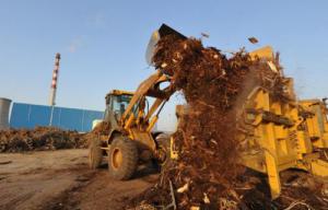 我国生物质发电稳步增长累计装机达1488万千瓦