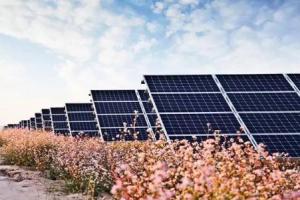 隆基股份新年再次降价 光伏行业整合即将开始