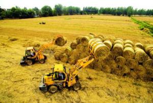 安徽来安秸秆利用好 增收又环保