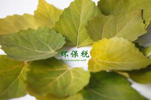 环保税4月1日迎首个征期，税务机关已认定26万多户纳税人