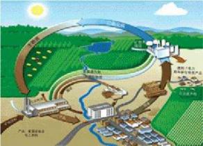 中国能建天津电建中标首个生物质发电EPC工程