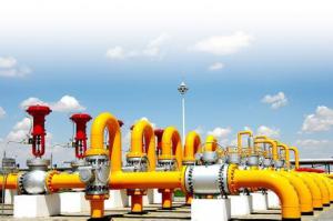 薛光林：对外依存度逐年提高 建天然气战略储备势在必行