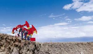 国土资源部油气中心2018年工作会议召开