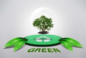 环保攻坚与快速发展相协调 大力发展绿色金融支持企业绿色发展