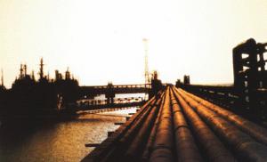 浙江省内最长的成品油管道和配套油库投油成功