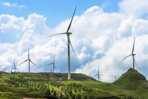 国家林业局：禁止在国家级自然保护区修筑风电、光伏等项目设施