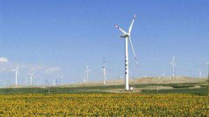 山东三建中标华润新能源胶州风电项目
