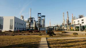 中国能建浙江火电承建的舟山石化工程7台机组全部开工