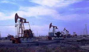 陈旗委员：支持新疆油气交易中心加快组建成立