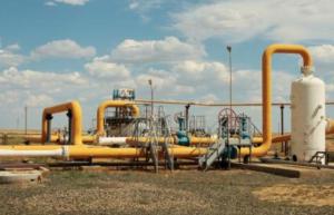 加大政策支持和引导 推进天然气产业发展