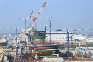 福清5号核电机组堆内构件通过验收