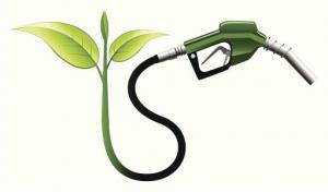 我国生物燃料乙醇拥有巨大发展空间 —产量在全球占比仅为3%，不及美国十分之一