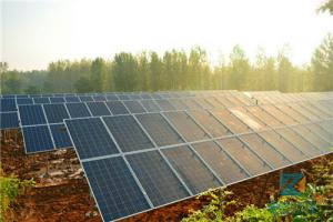 国家能源局 国务院扶贫办关于印发《光伏扶贫 电站管理办法》的通知