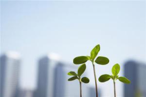 张立宽：有序推进火电机组灵活性改造