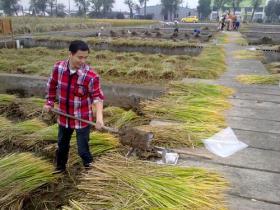 海南推动秸秆综合利用产业化