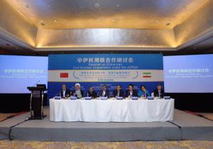 王毅韧出席伊核问题全面协议民用核合作研讨会