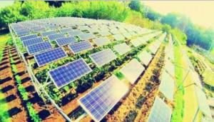 安徽跻身光伏和风电发展“双绿色”地区