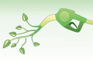 包头市与北大荒合作开展生物燃料乙醇多联产项目