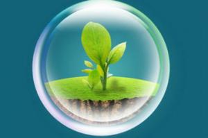 中国生态系统固碳“清单”出炉 多个首次实现领跑