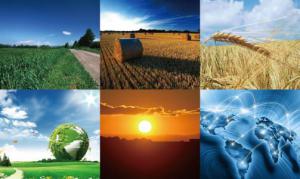 三箭齐发共同实现生物质全质高效利用