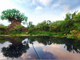 迪士尼世界建50MW太阳能系统为两个主题公园提供清洁能源