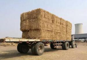 生物质能加工厂将开启“三农”发展的环保脱贫路