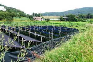 江华：光伏项目收入600万助力112个贫困村脱贫摘帽