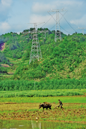 解决“三弃”难题国家电网交出亮眼成绩单