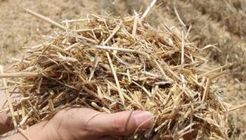 生物质应从传统利用方式变成资源 “变废为宝”可以更高效