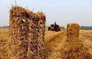 哈尔滨将建200处2兆瓦秸秆沼气项目