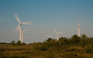 第一季度可再生能源占爱沙尼亚电力消耗的13.2％