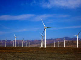 风电发展加速 市场更加多元化