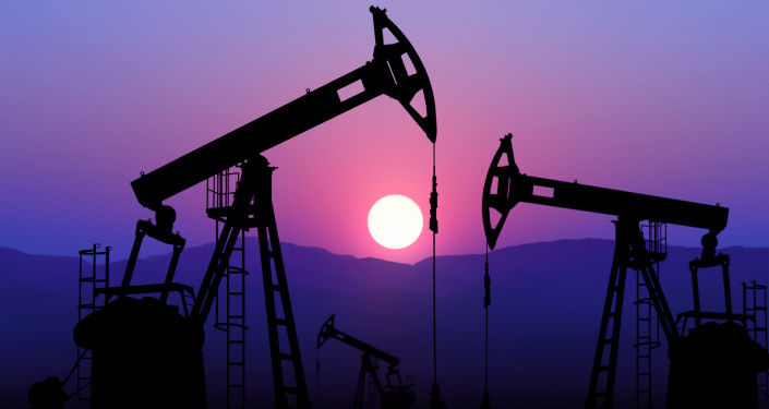 国际能源机构：沙特阿拉伯和俄罗斯将成为伊朗石油供应的替代来源